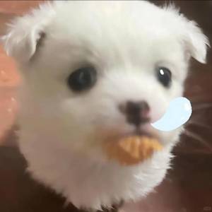 yo