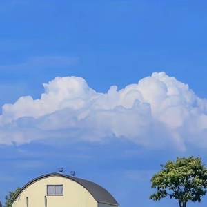 柳暗花明又一村
