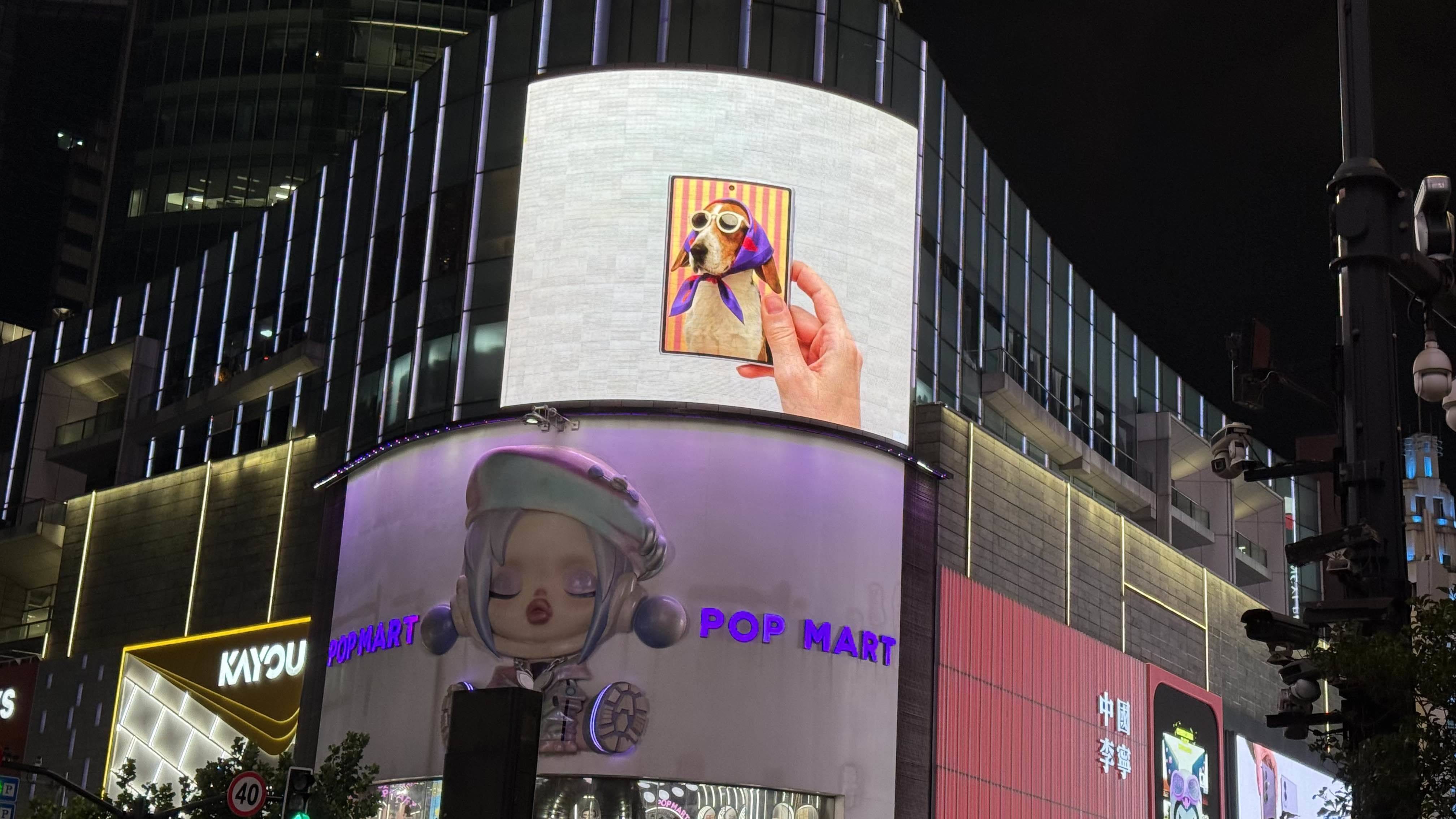 依依