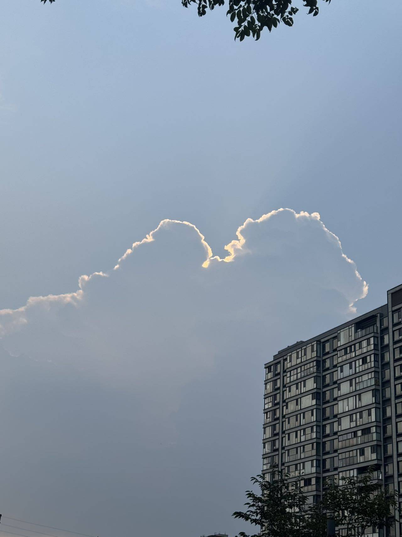 上海闲鱼