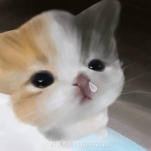 小难瓜
