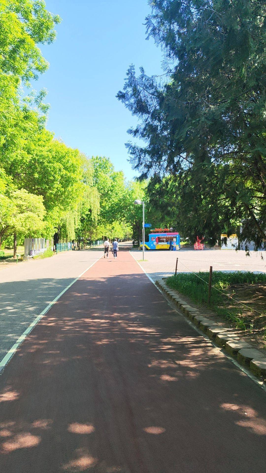 life_photo_1