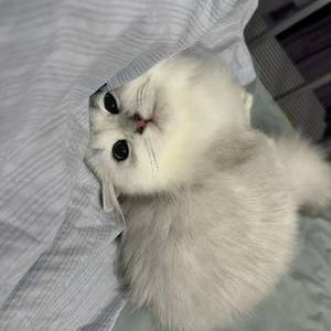 沁