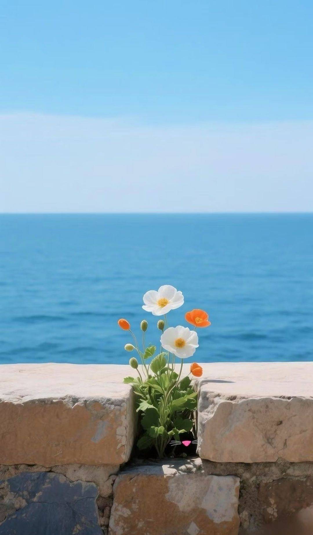 柠檬