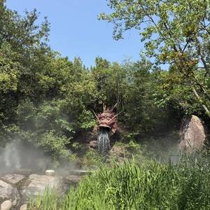 陈皮皮