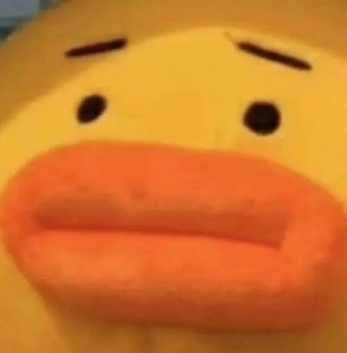 求求你了