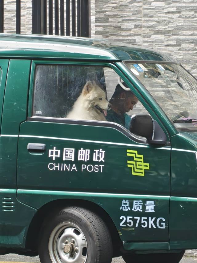 椿