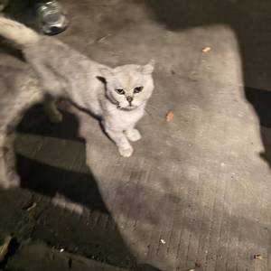 佛山三水区租房