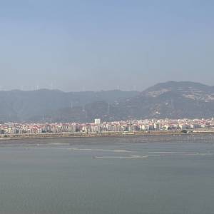 柠檬