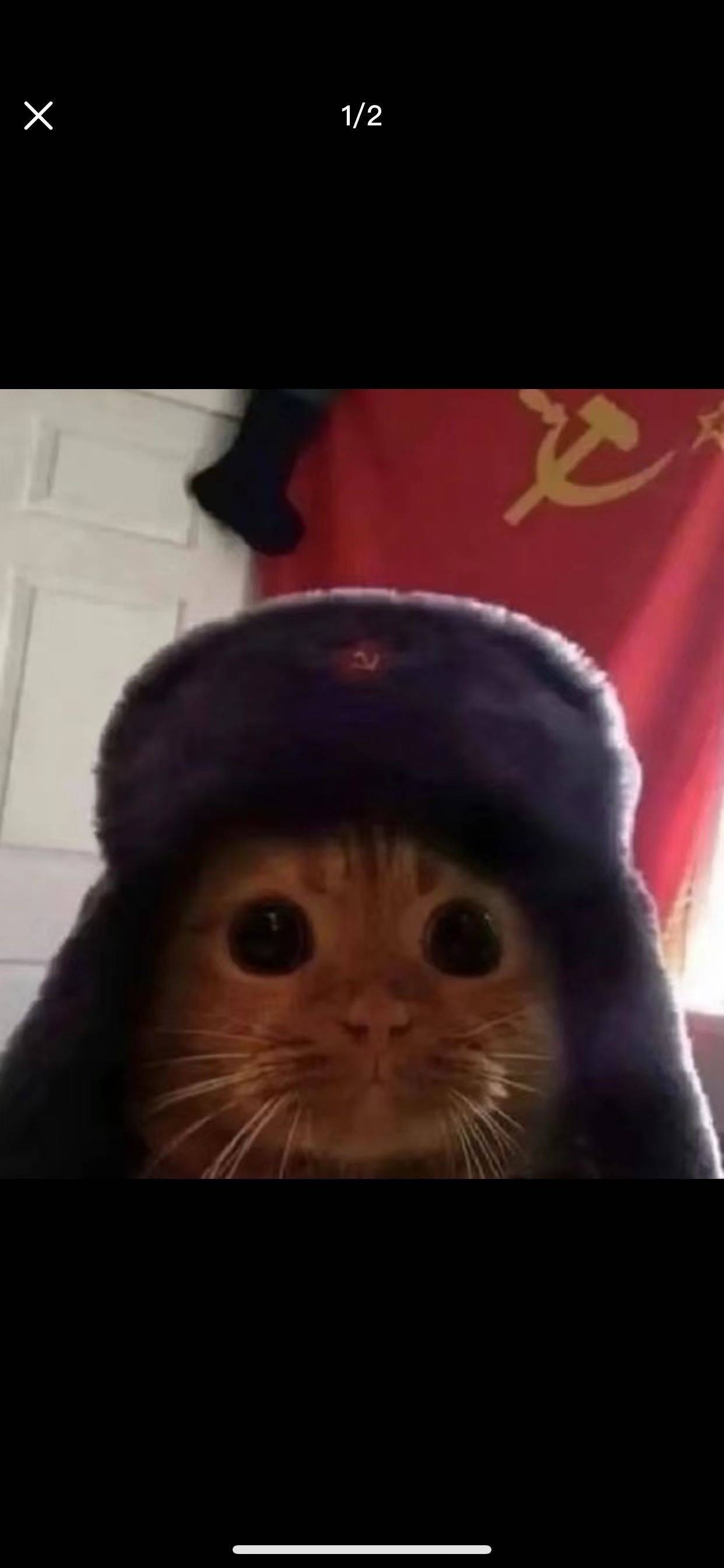 Niffler