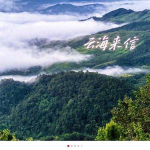 焦洋
