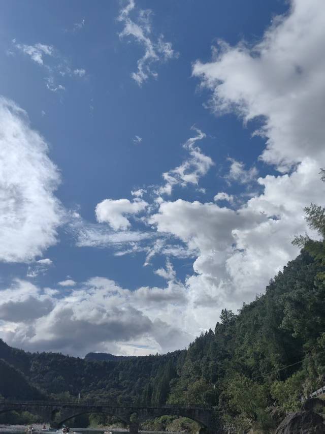 林