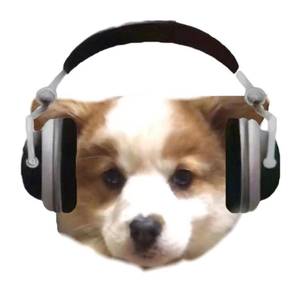 夜