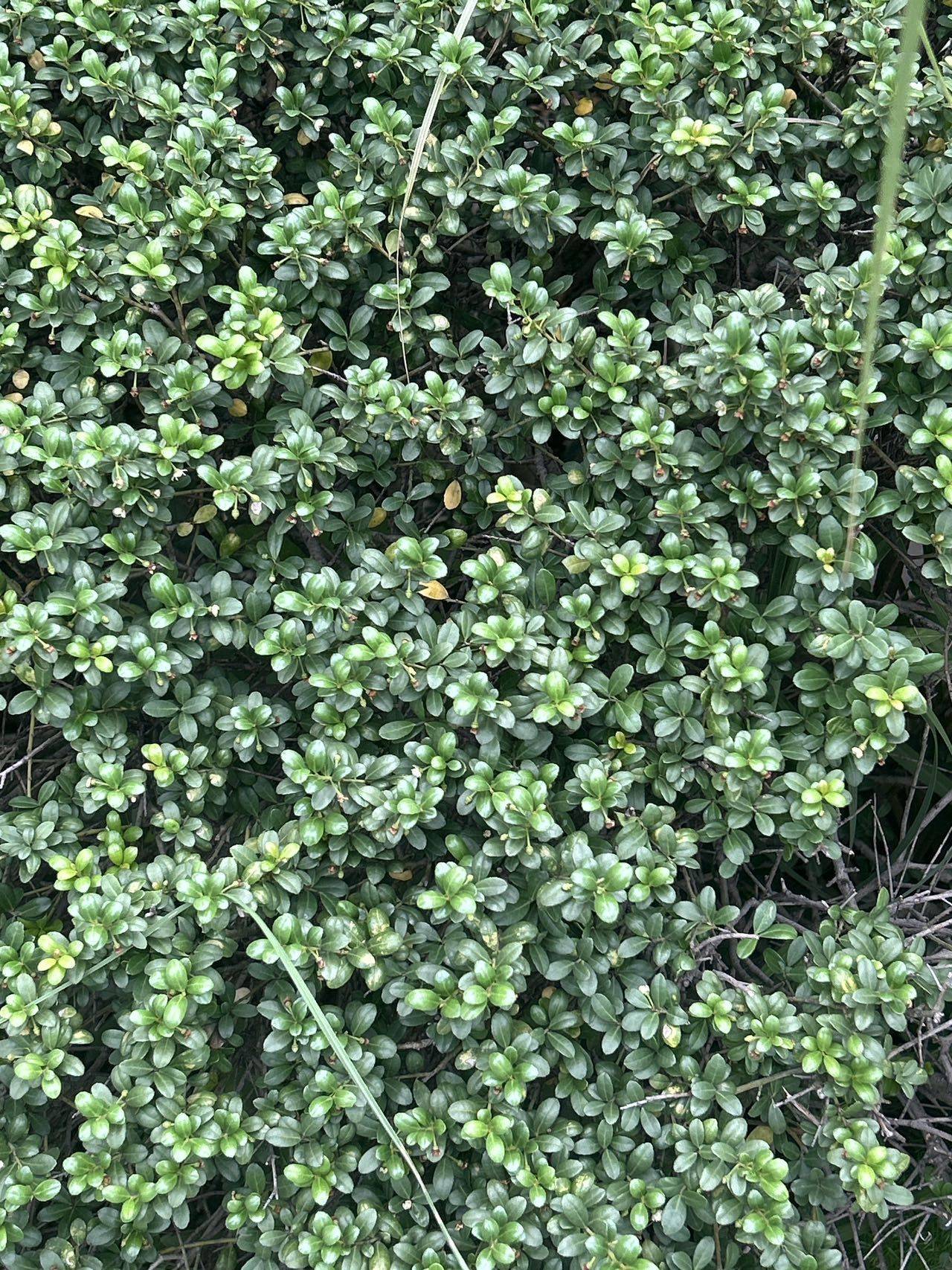 几点到几点好