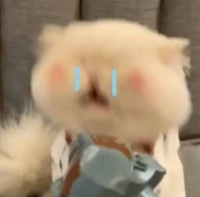 七七