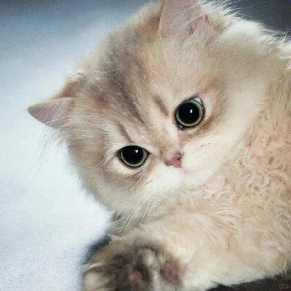 睡个好觉