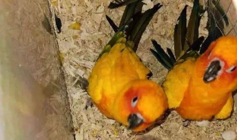 3568