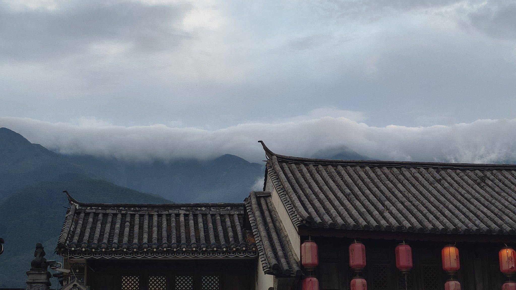 一个呢牛
