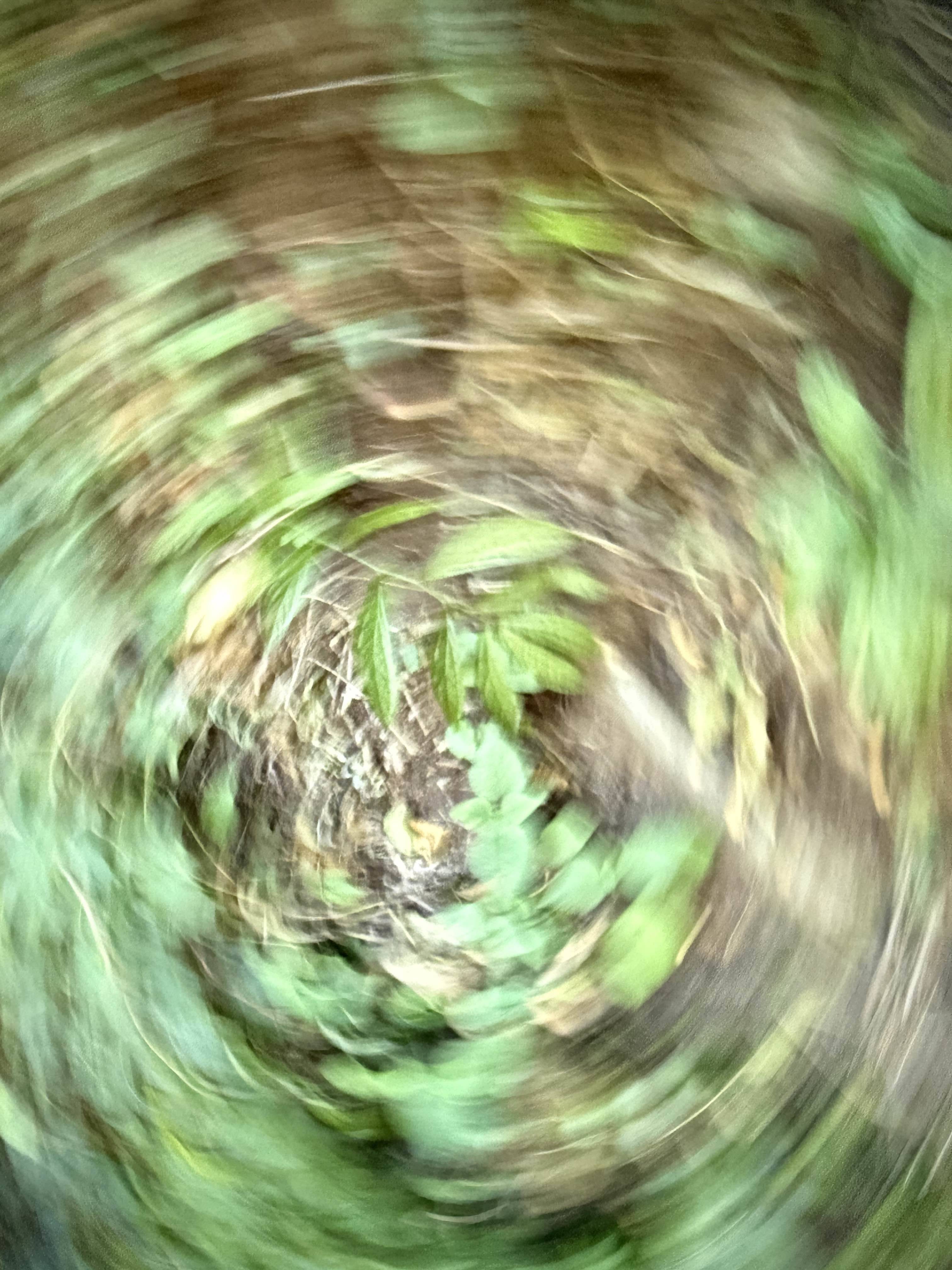 山淅