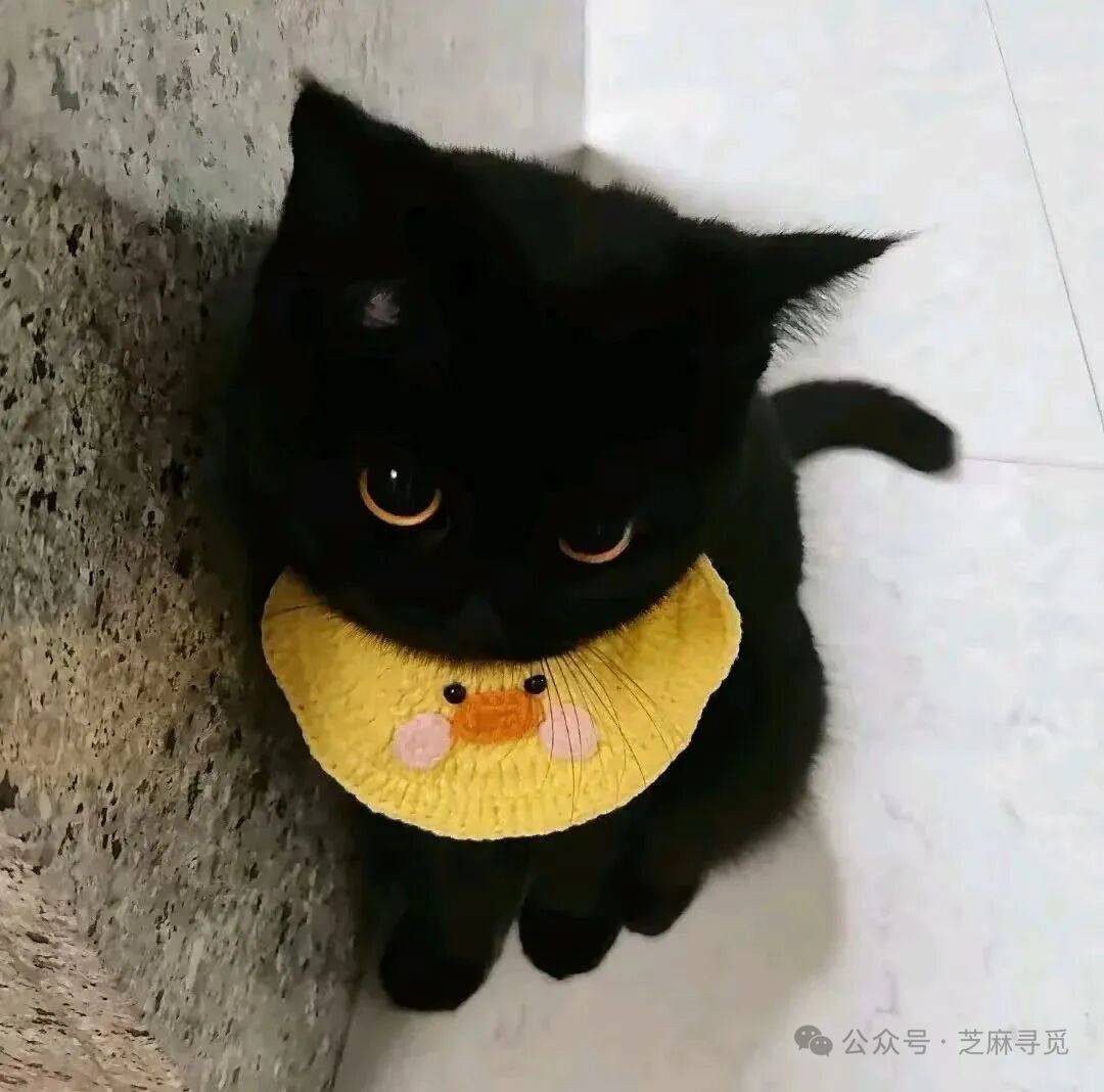 湖