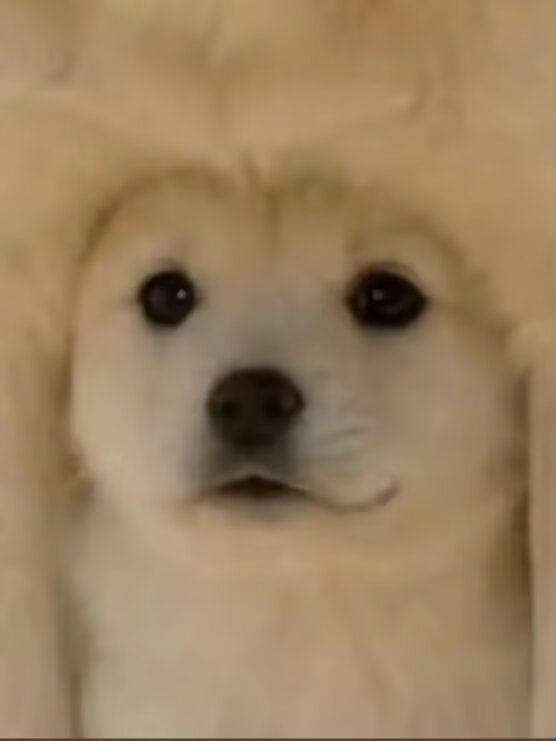 芋泥