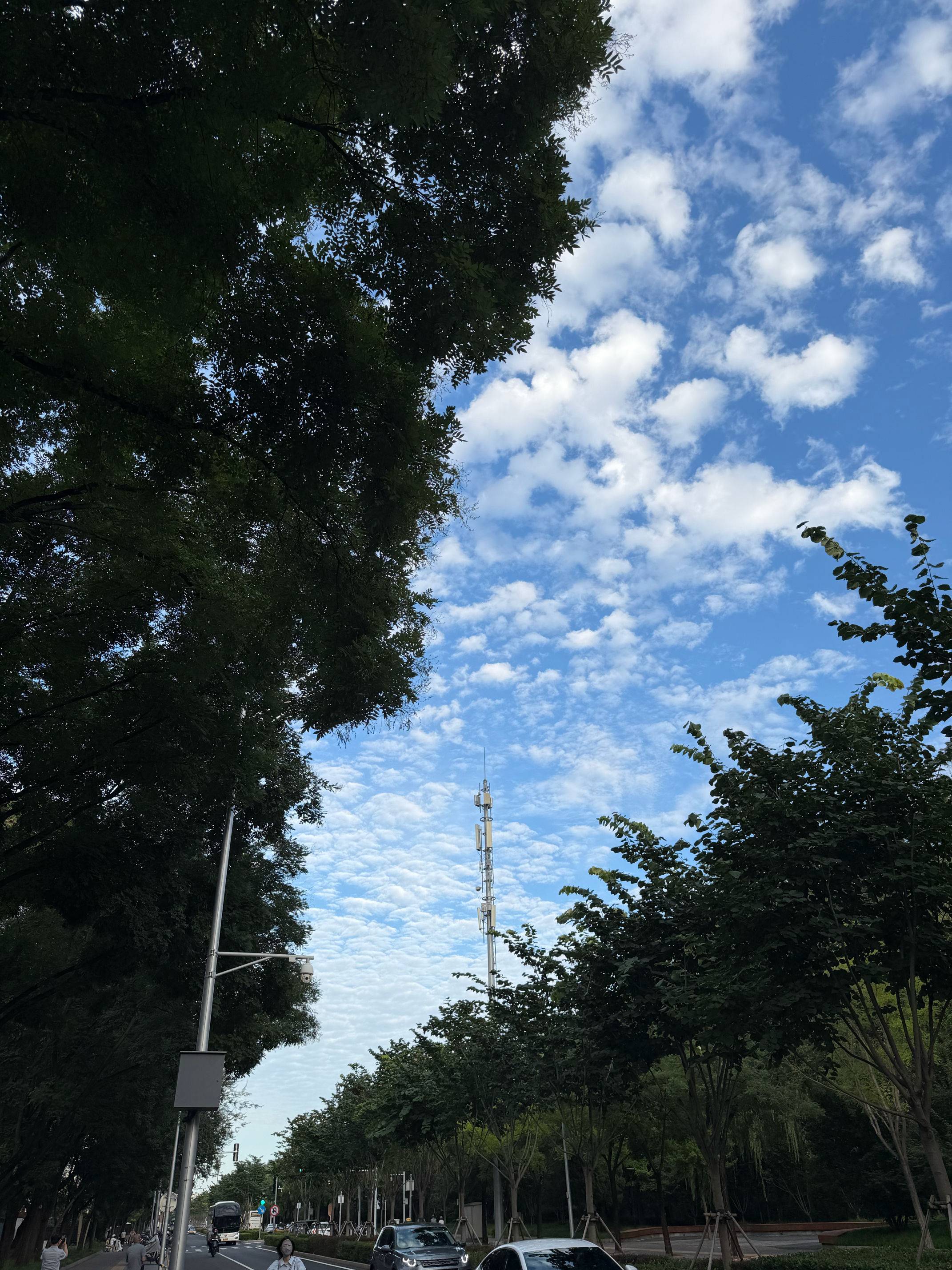 平坦的道路