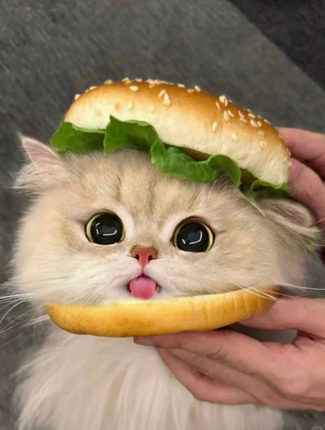 Moonlight.