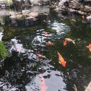 益言