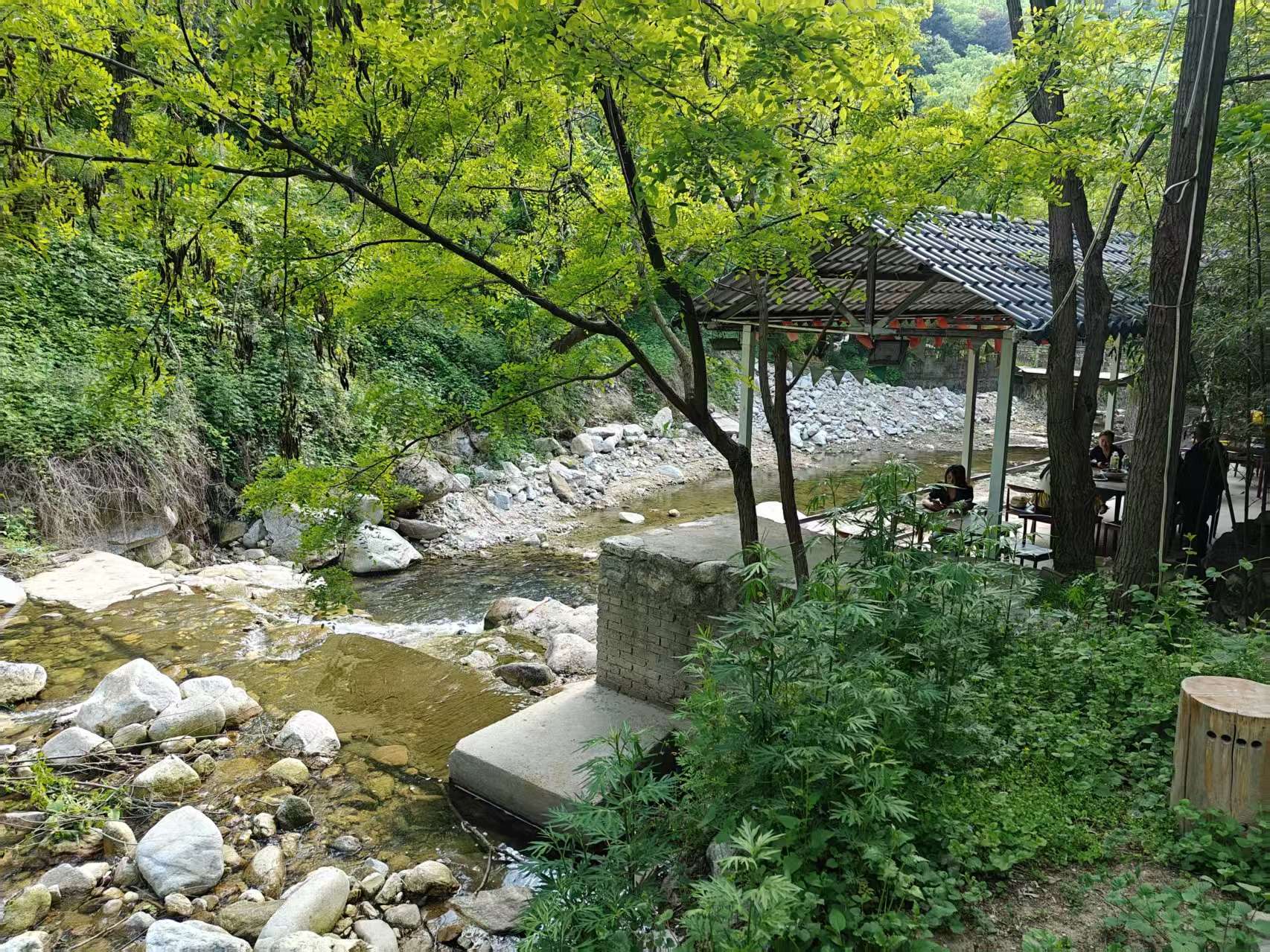 顺其自然