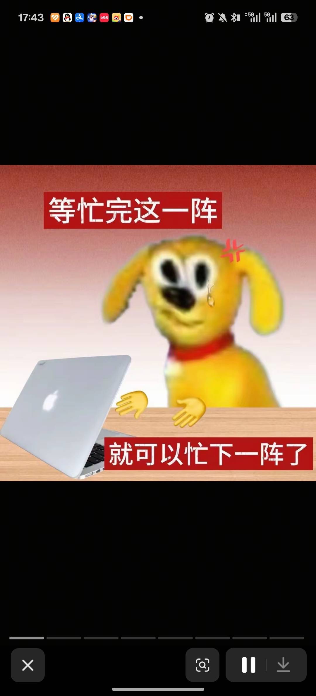 djdbdhfb