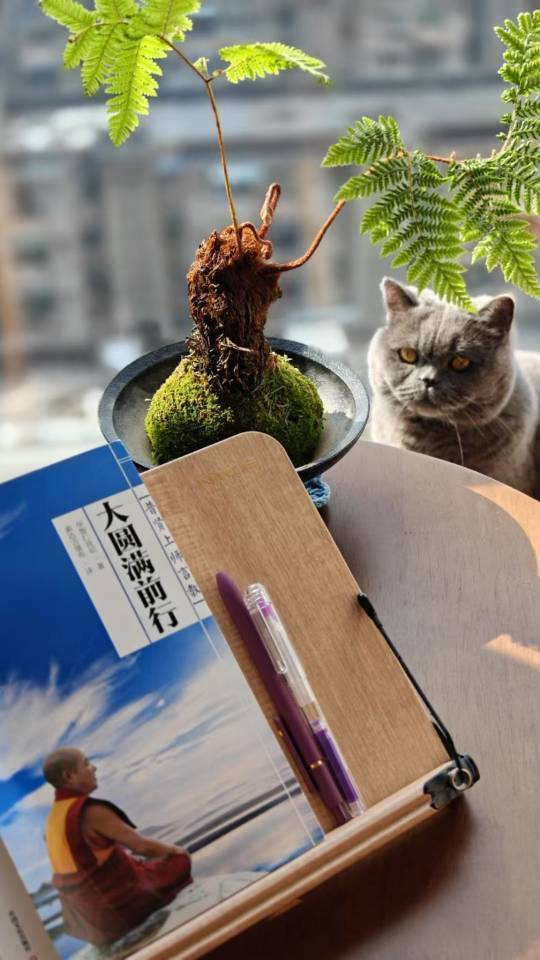「伊呀」