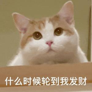 PT莫杨