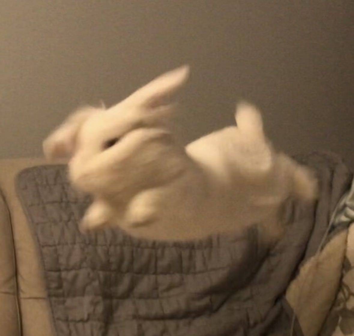424的中间