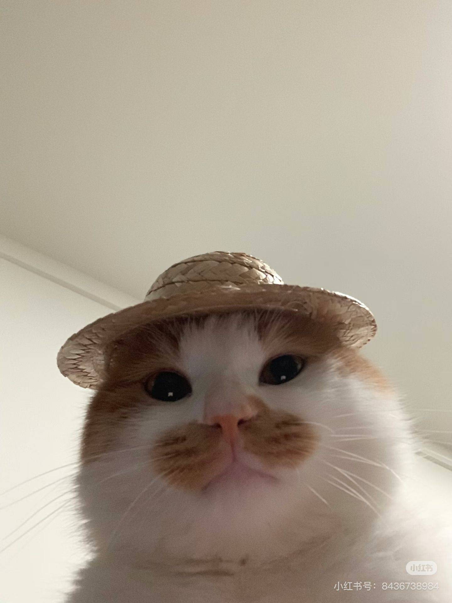 点点