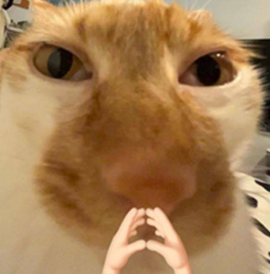 N.