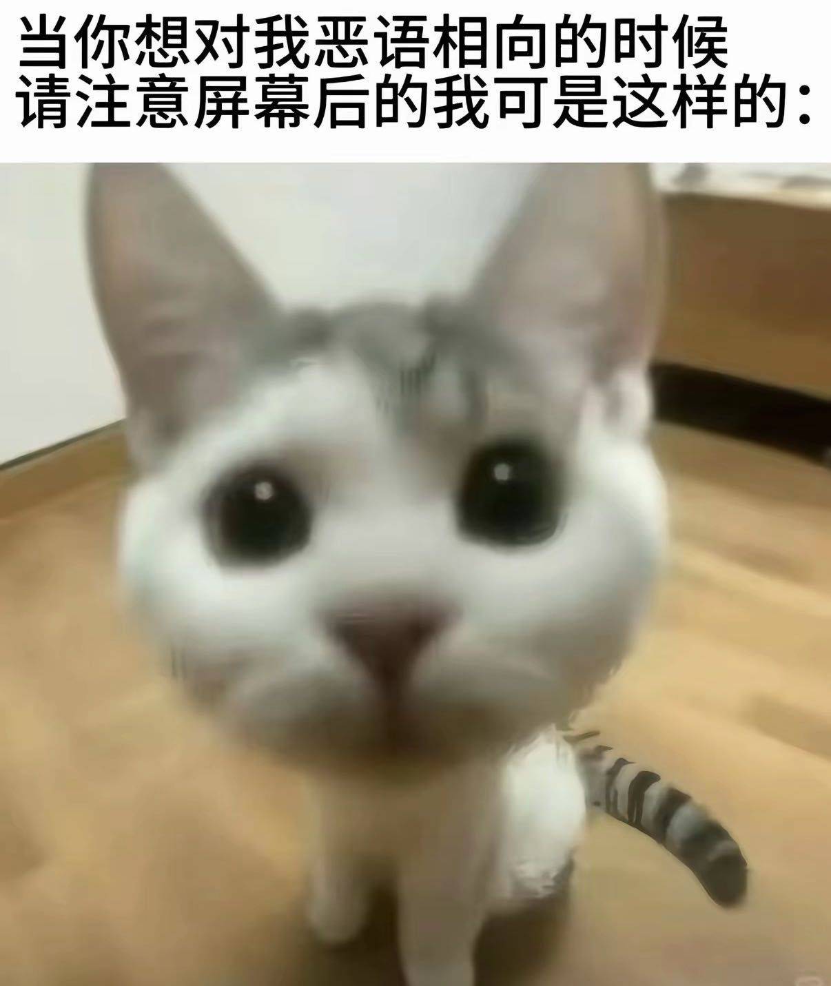 雪