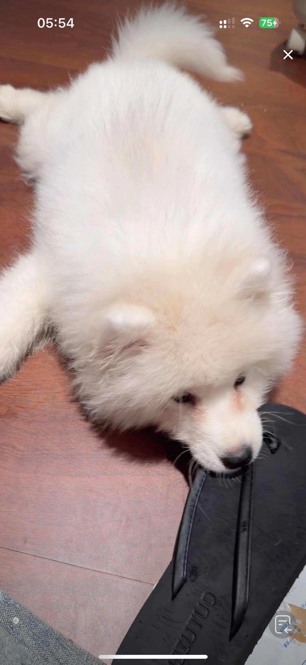 Zzz