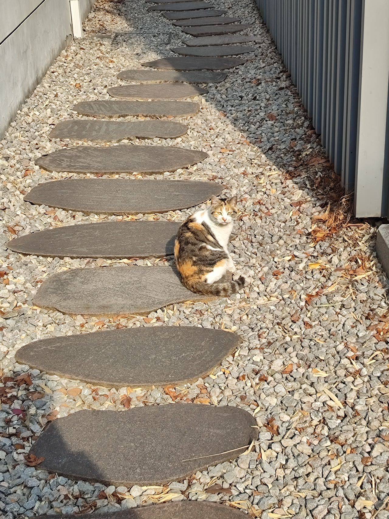 雾袭醉