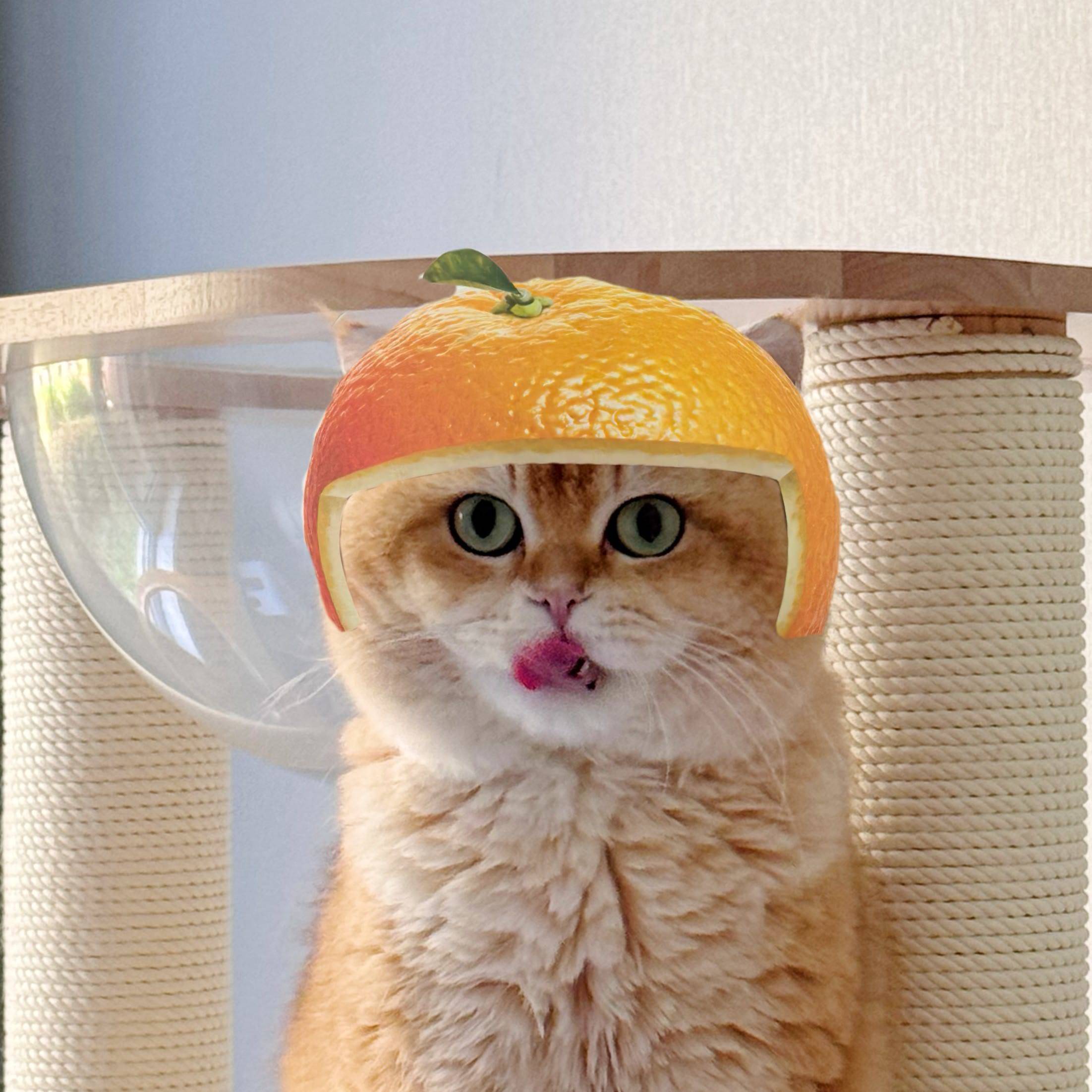李小胖