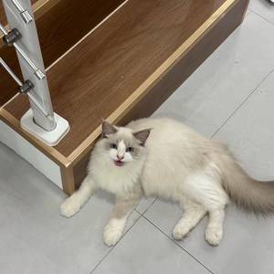 小鱼相对论