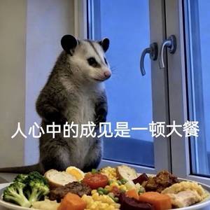 这不是饼干