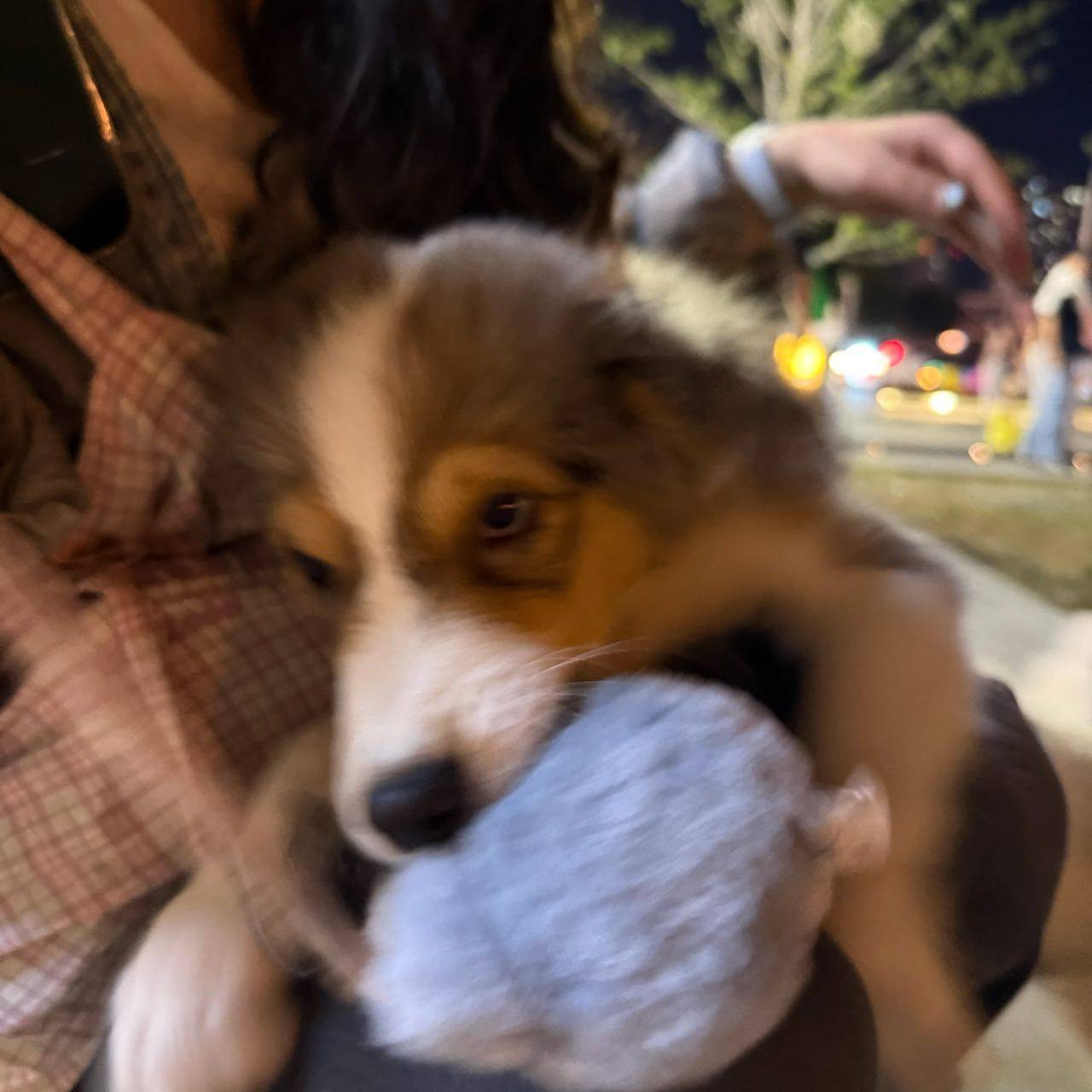今天有点烦