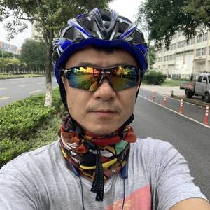 反犬达达