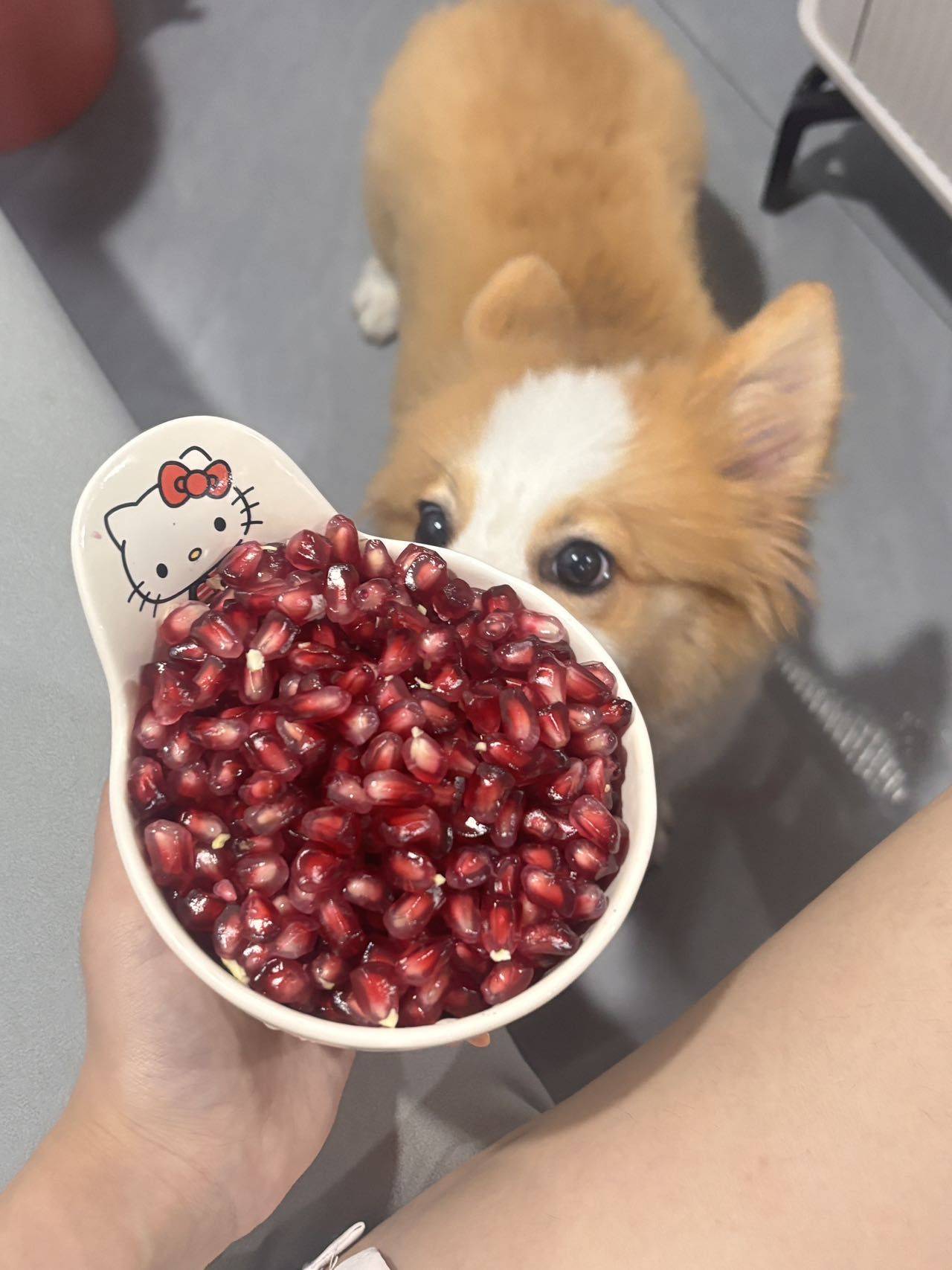 yaya