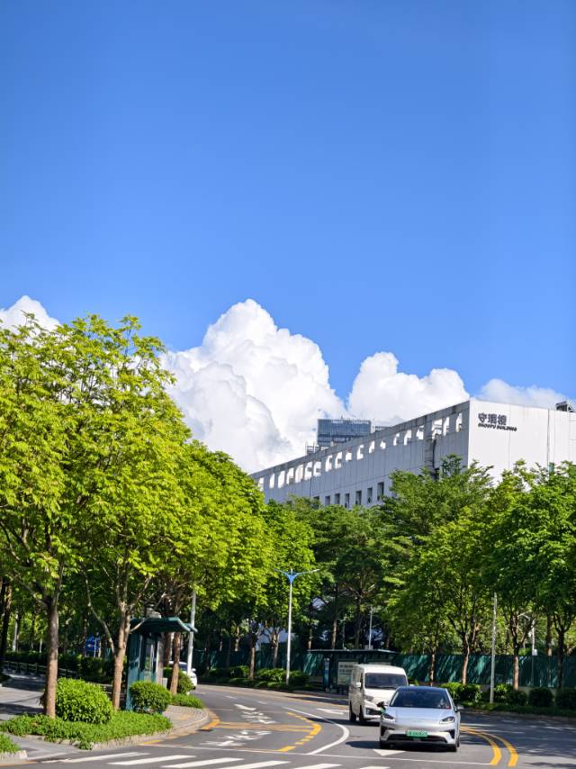 ebdws