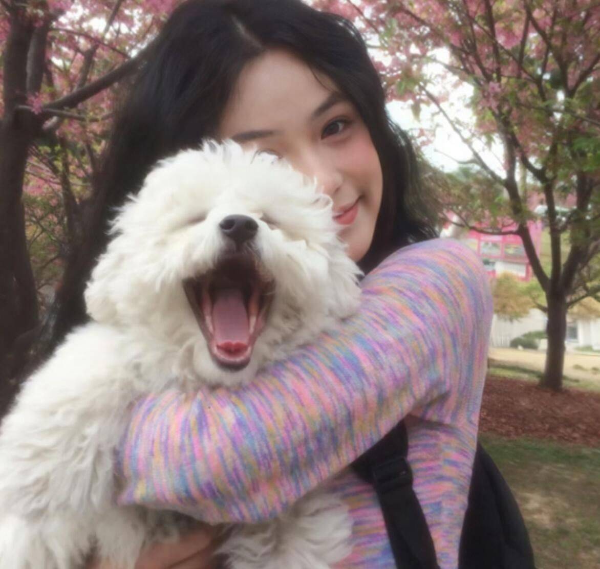 盒盒盒