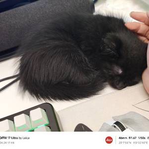 个人转租无中介