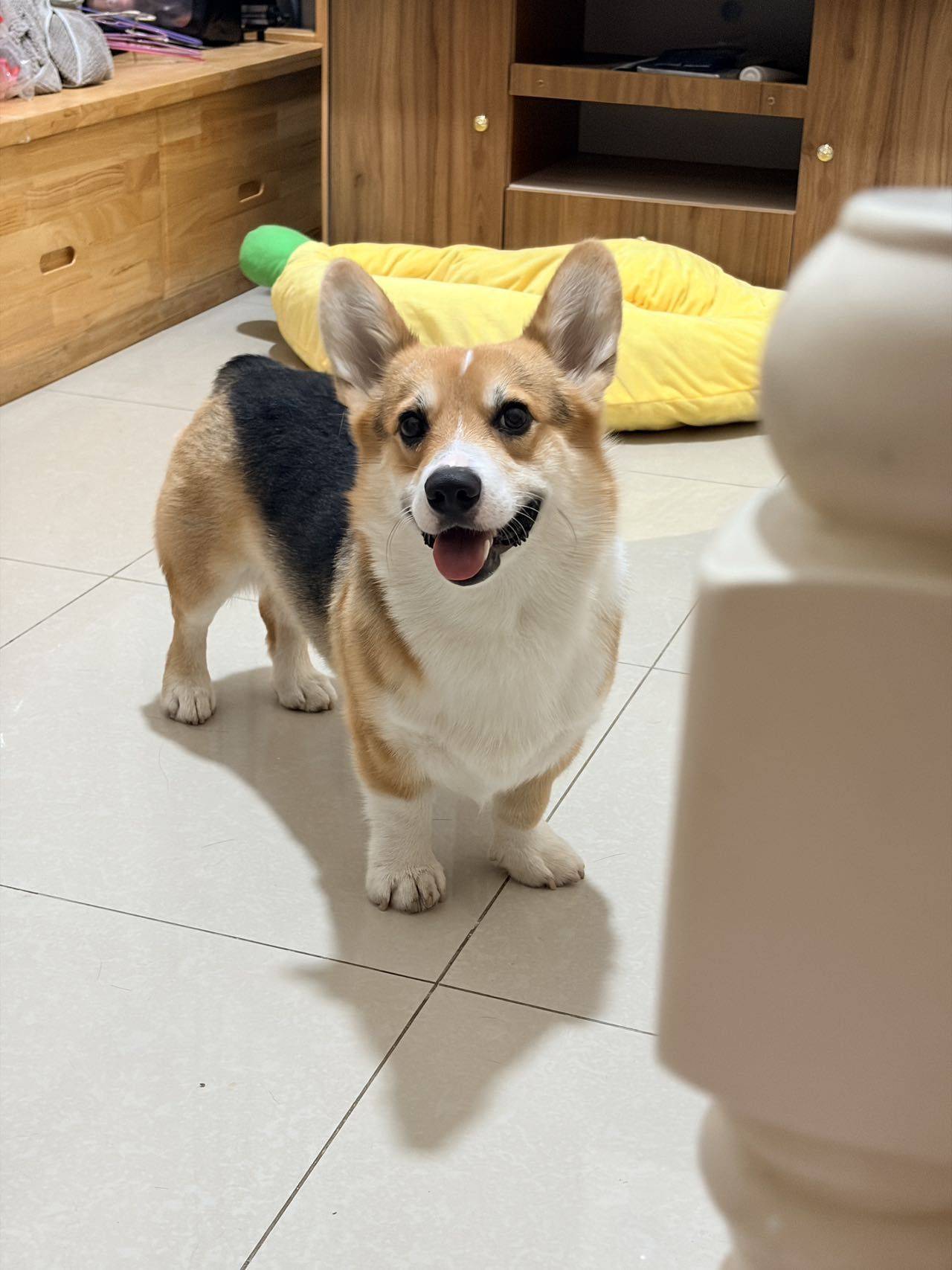 唔知
