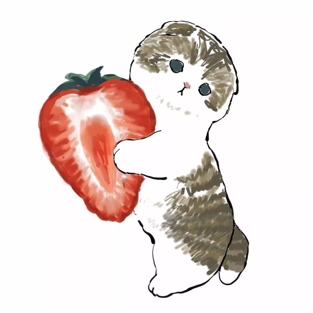 度