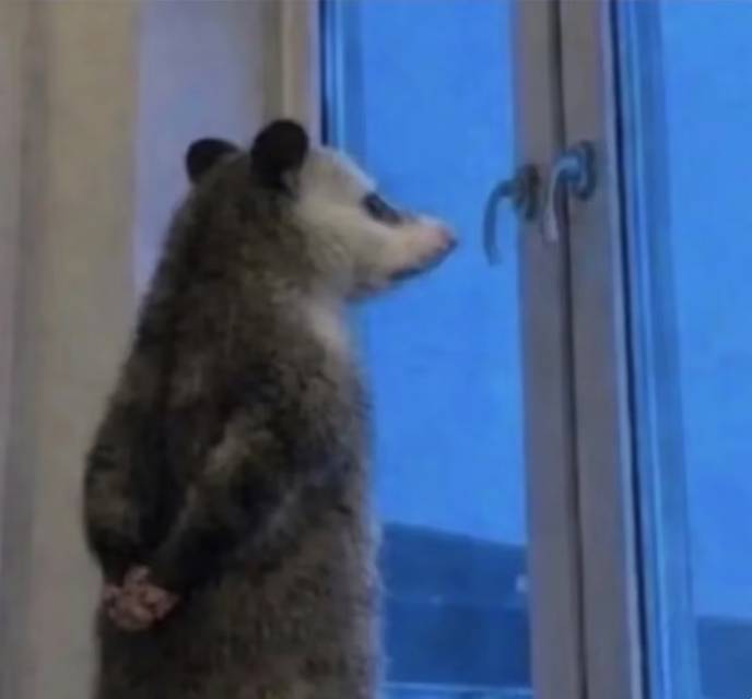 我大抵是困了💤